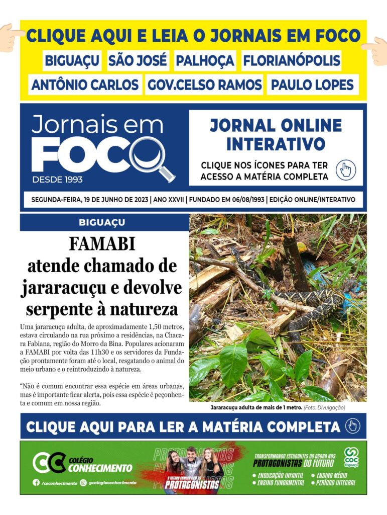 FAMABI atende chamado de jararacuçu e devolve serpente à natureza